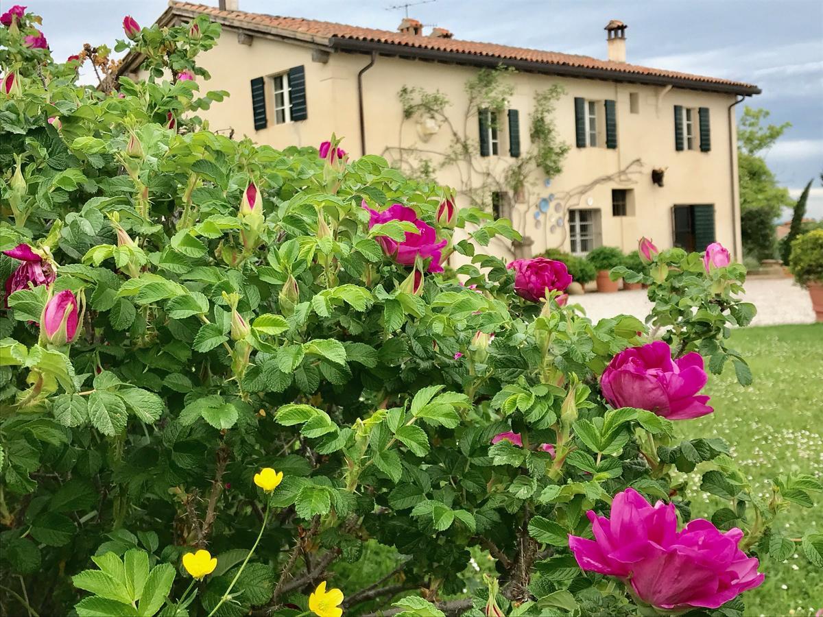 B&B Ca Bianca Dell'Abbadessa Сан-Ладзаро-ди-Савена Экстерьер фото